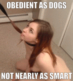 Damn Right That's the Truth! picture 1 of 1