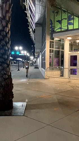Skateboard Sluts Bouncing'
