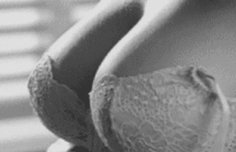 Titty Torpedo Alert! picture 1 of 1