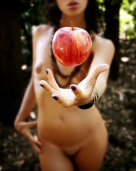 Oh, there was an apple in the shot? Sorry, I didn't notice.'