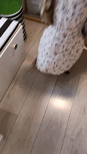 So Dang Sweet: Tasty Treat in Public'