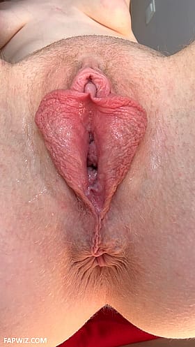 Pussy Butterfly: A Wish for a Friend Who Loves Eating Pussy