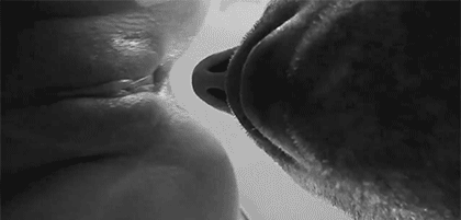 Luscious brunette teasing her wet pussy picture 1 of 1