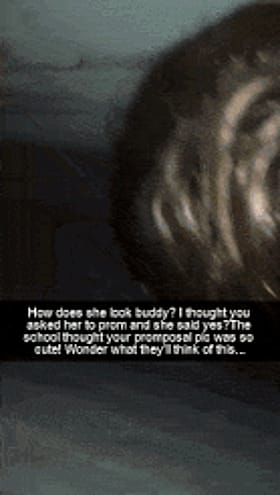 Throbbing Cock Glory'