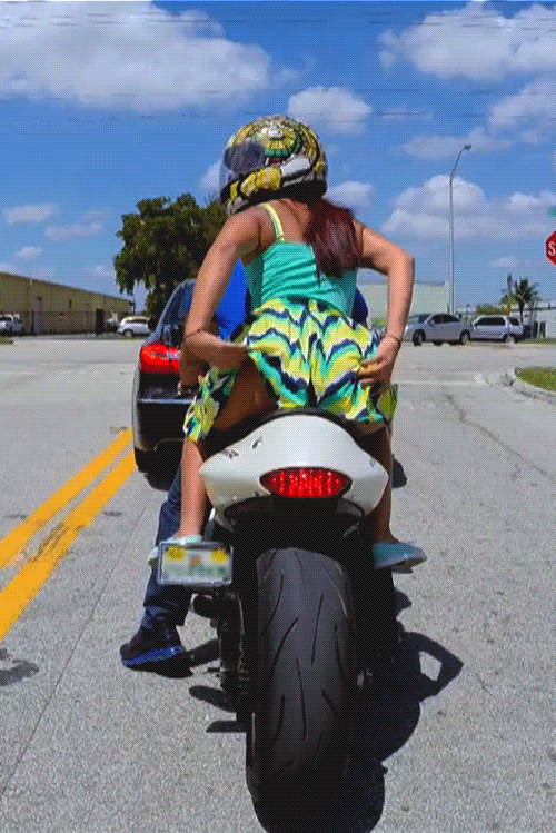 Bike Ride Booty Flash picture 1 of 1