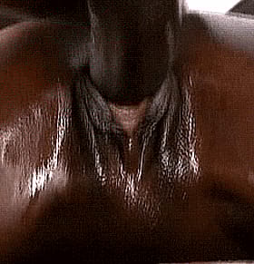 Ebony Babe Takes Monster Cock Hardcore'