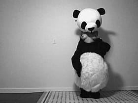 Panda Panty Tease'