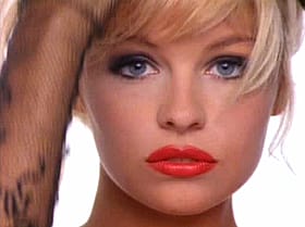 Pam's Platinum Playtime'