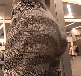 Booty Bounce Backshots'