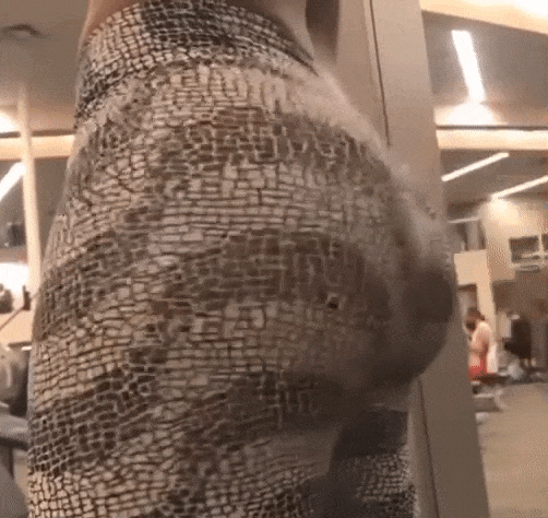 Booty Bounce Backshots picture 1 of 1